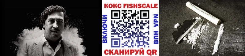 COCAIN FishScale  kraken как войти  Дрезна  где найти наркотики 
