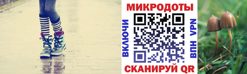 Галлюциногенные грибы мухоморы  купить  сайты  блэк спрут ссылки  Дрезна 