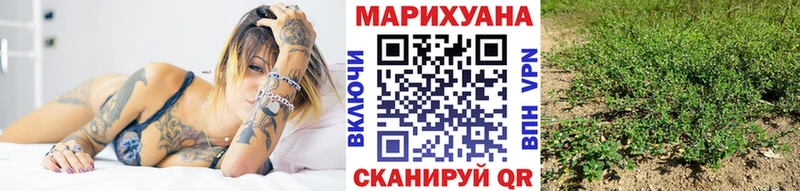Бошки марихуана план  ОМГ ОМГ онион  Дрезна  где купить наркоту 